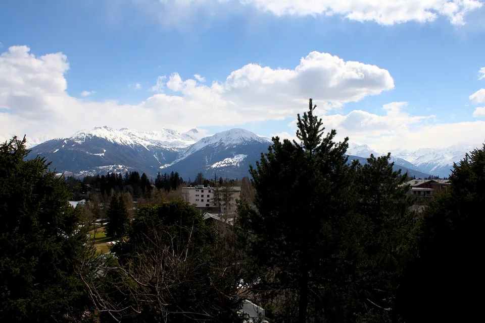 LOC 113 - CHALET HAUT-PRAZ – Foto 13 von 13