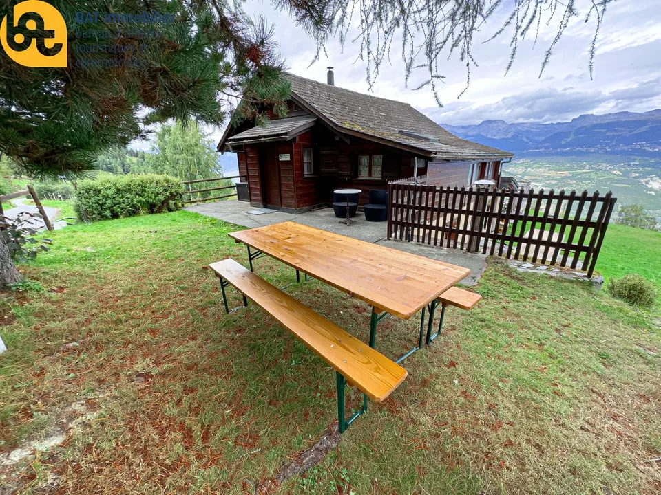 Eté 2026 - Chalet 3 pièces Mayen des Tsabloz