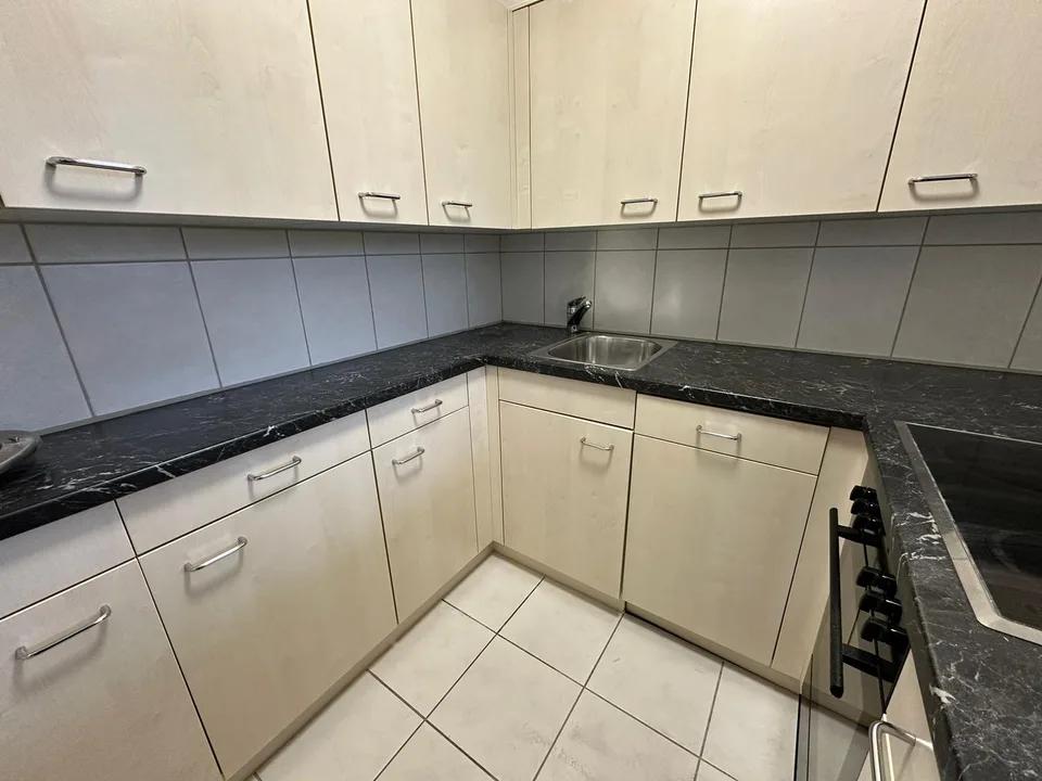 3.5 Room Apartment in Horgen