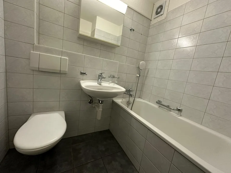 3.5 Room Apartment in Horgen