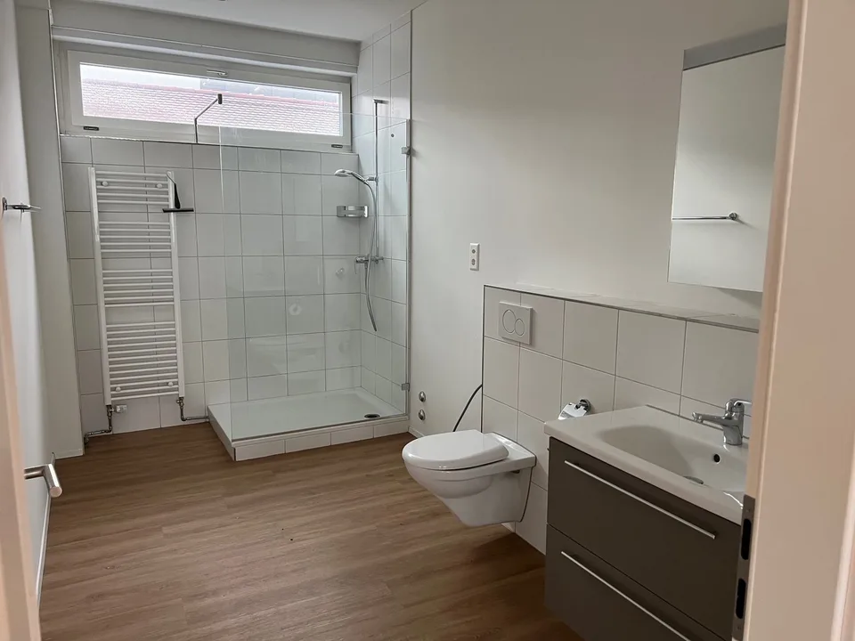 ARBEITEN UND WOHNEN in Gewerbeobjekt in Allschwil – Foto 16 von 19