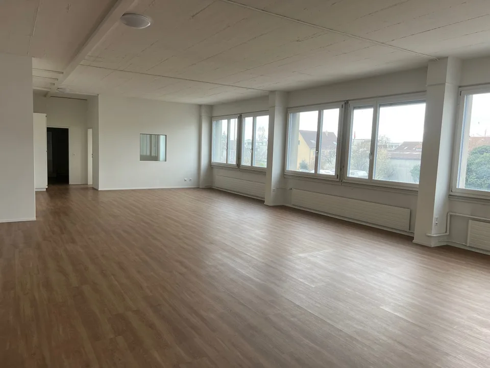 ARBEITEN UND WOHNEN in Gewerbeobjekt in Allschwil – Foto 8 von 19
