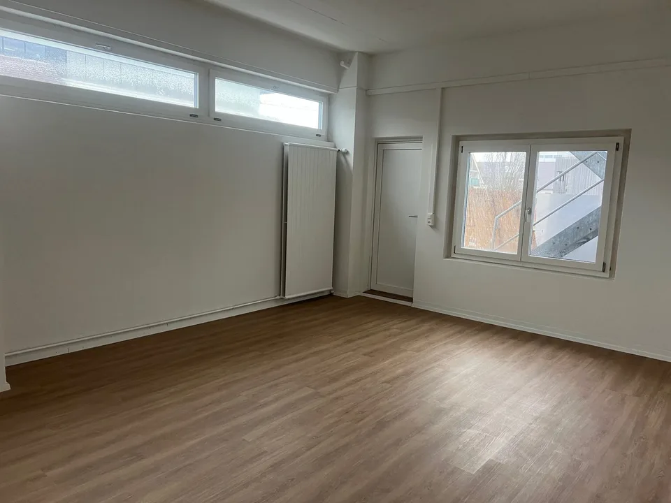 ARBEITEN UND WOHNEN in Gewerbeobjekt in Allschwil – Foto 11 von 19
