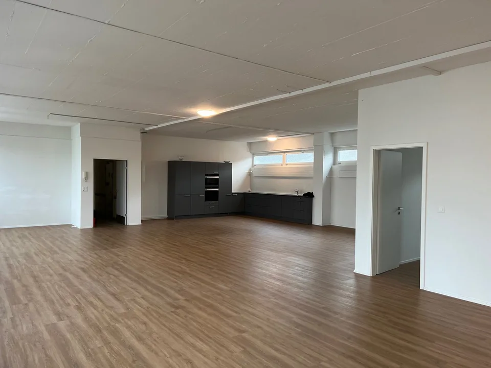 WORK AND LIVE in commercial property in Allschwil