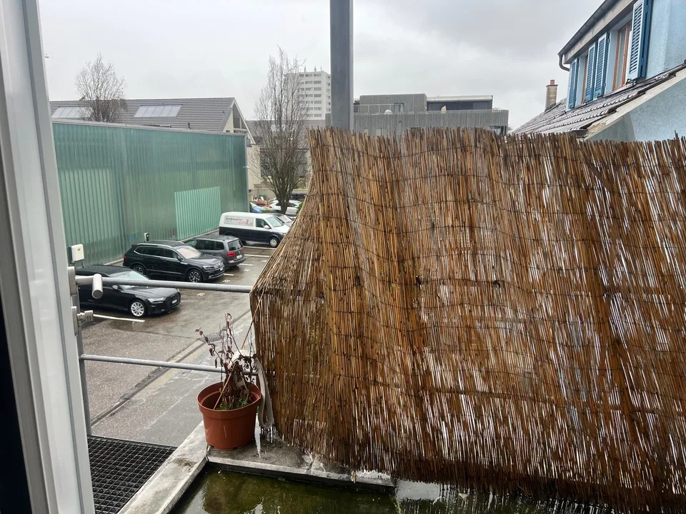 ARBEITEN UND WOHNEN in Gewerbeobjekt in Allschwil – Foto 15 von 19