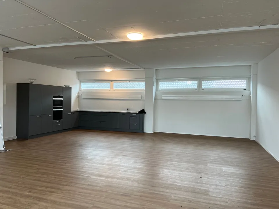 WORK AND LIVE in commercial property in Allschwil