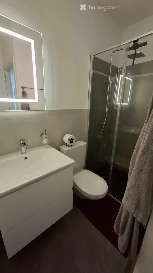 Sous-locataire pour appartement moderne à Claro