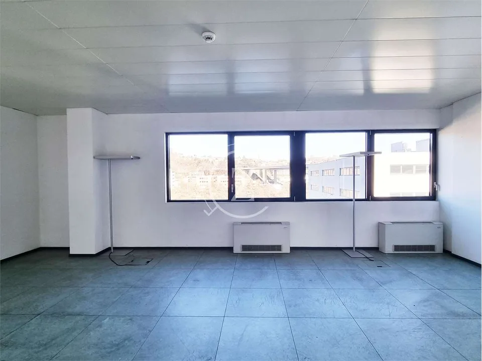 Wir vermieten ein 251 m² großes Büro
