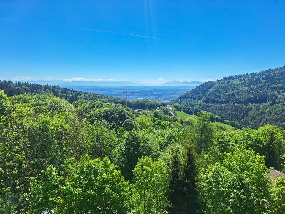 Appartement de 2.5 pces avec balcon au 1er étage Magnifique vue