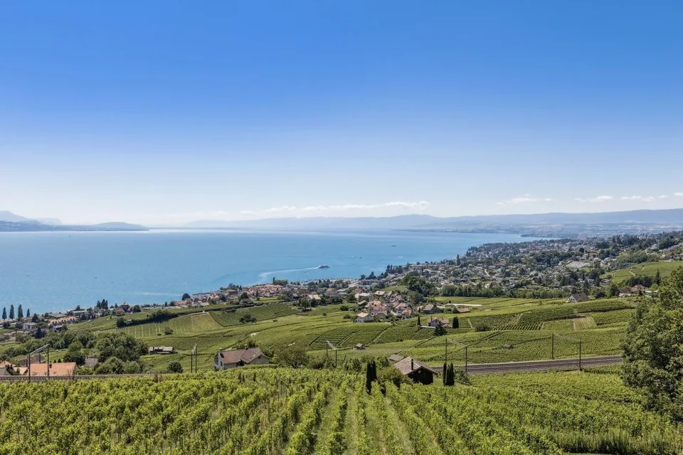 In the heart of the vineyards, an exceptional winemaker's house facing Lake Geneva