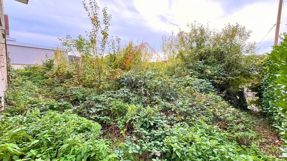 Boncourt - Terreno edificabile con edificio esistente, ideale per ristrutturazione o nuovo progetto