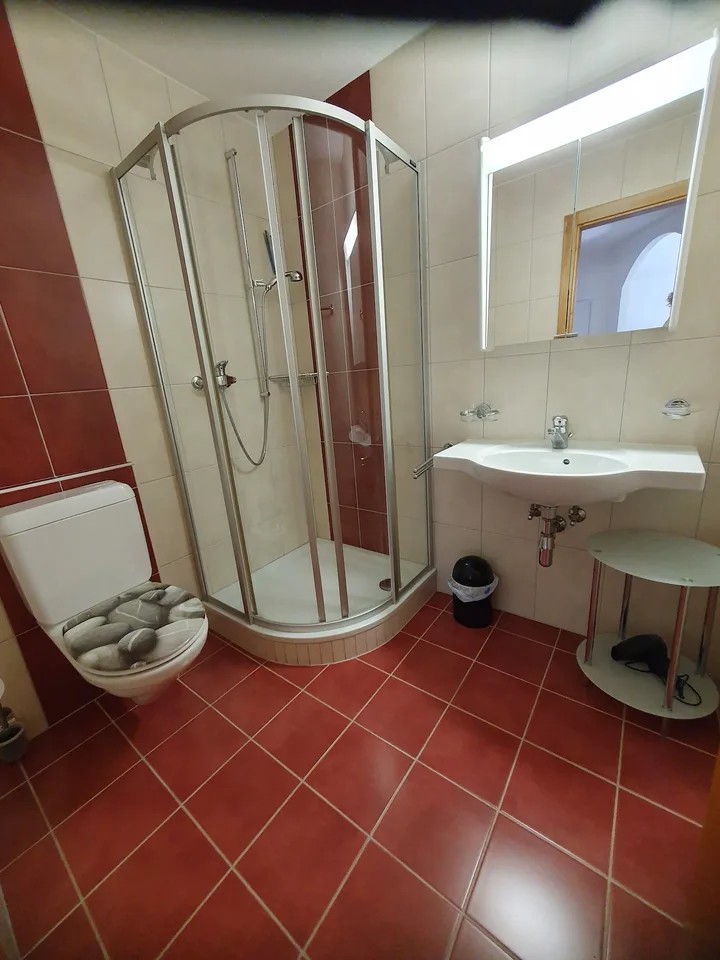 Geräumige 2.5-Zimmer-Wohnung in Ovronnaz/VS – Foto 8 von 14