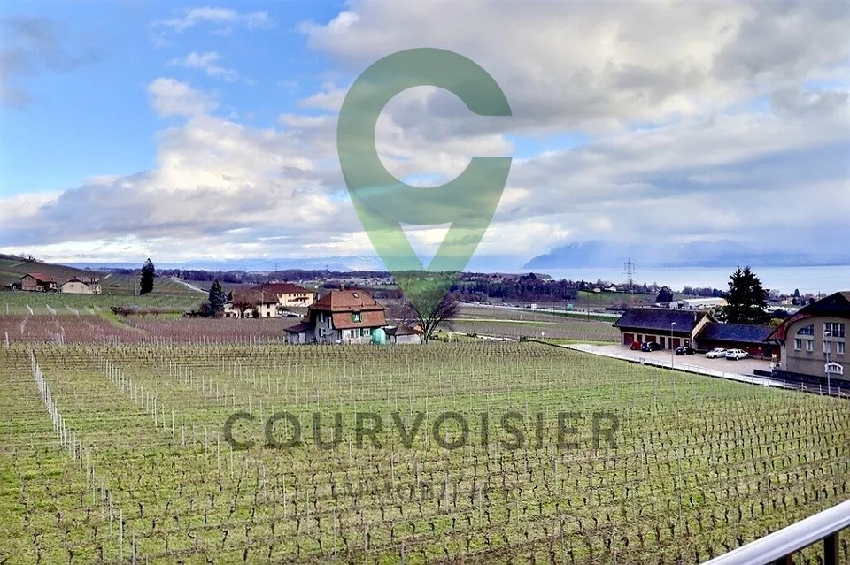 Attique rénové, vue sublime sur vignes, le lac et les alpes – foto 15 di 16