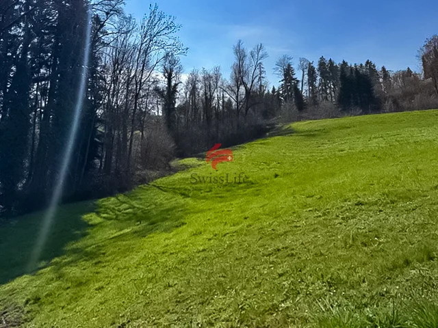 Terrain constructible aménagé