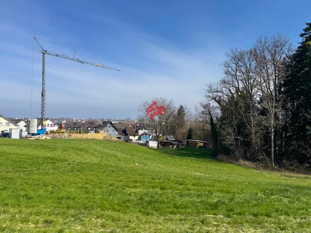 Terrain constructible aménagé