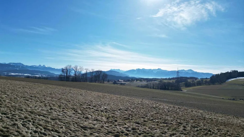 Proprietà di carattere che offre tre alloggi e un locale commerciale