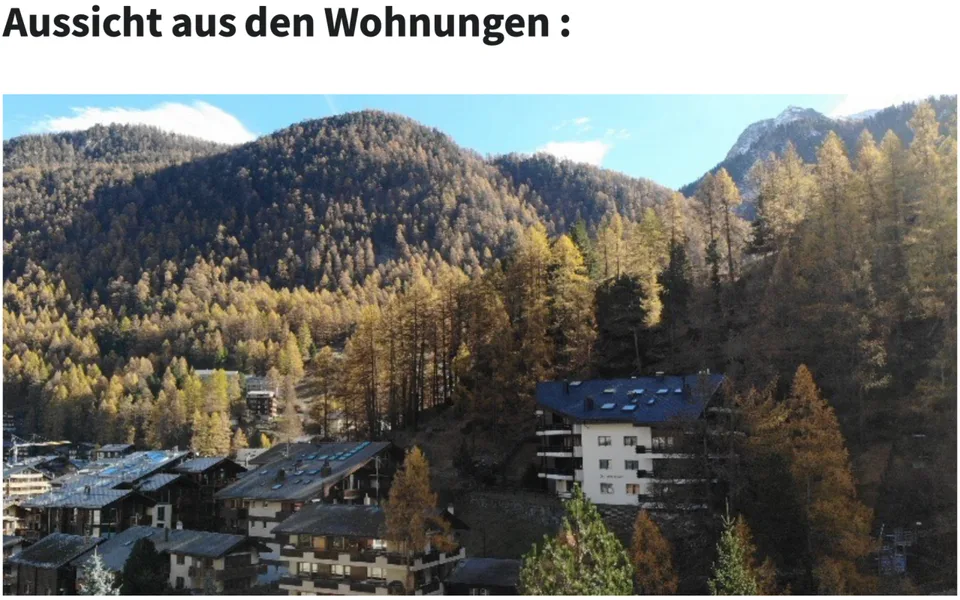 Projet de construction neuve de première classe à Zermatt, hôtel ou 4 appartements en duplex - résidence principale – photo 19 sur 19