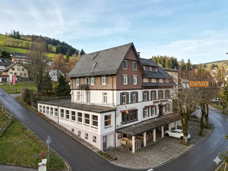 IMMORath.de - Blick auf die Schweizer Alpen mit Gastronomie & Hotelzim