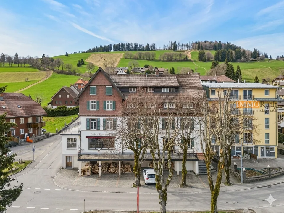 IMMORath.de - Blick auf die Schweizer Alpen mit Gastronomie & Hotelzim