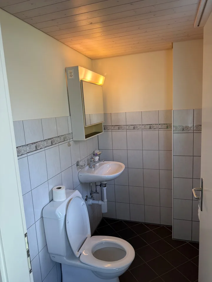 Casa unifamiliare di 5,5 locali, la nuova casa per la vostra famiglia – foto 13 di 27