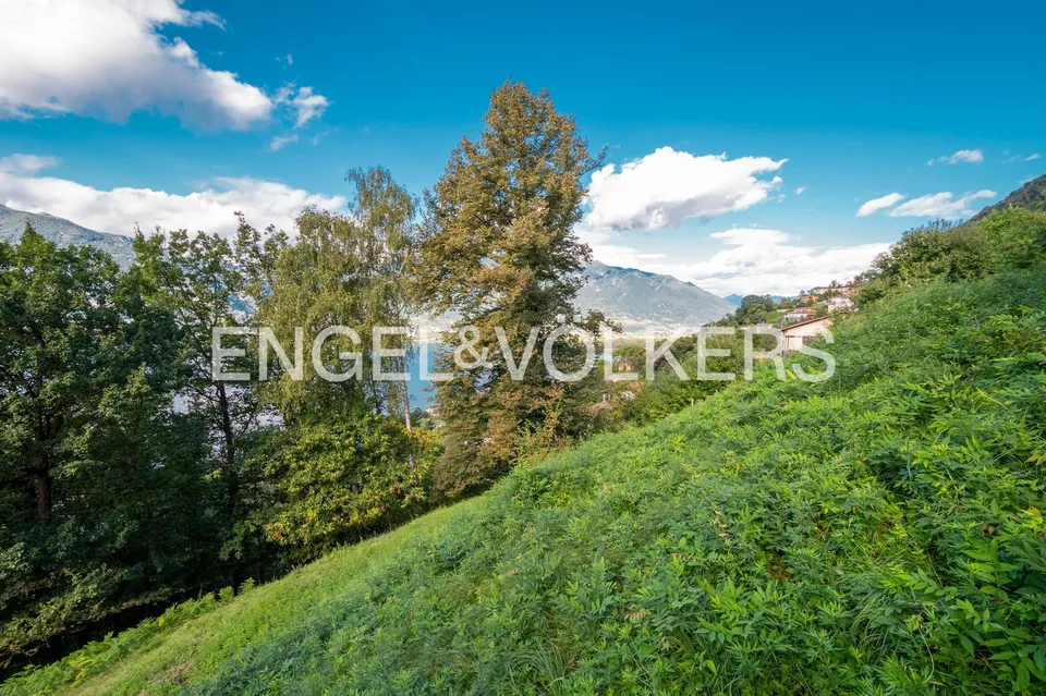 Terreno idilliaco con vista sul Lago Maggiore (1)