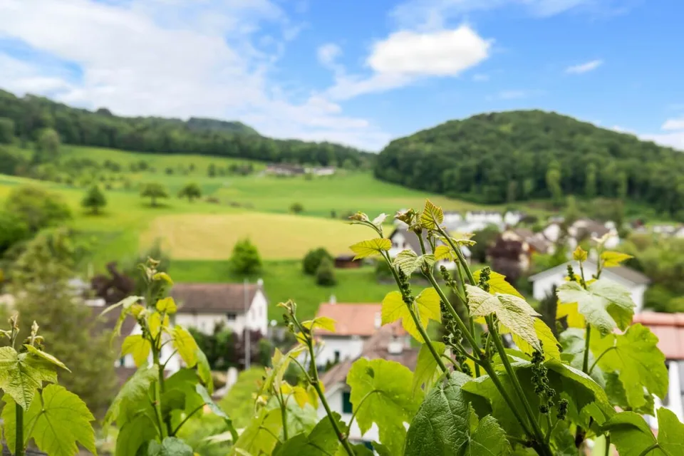 Emplacement ensoleillé au sud : Maison individuelle dépendante avec panorama et intimité – photo 20 sur 20