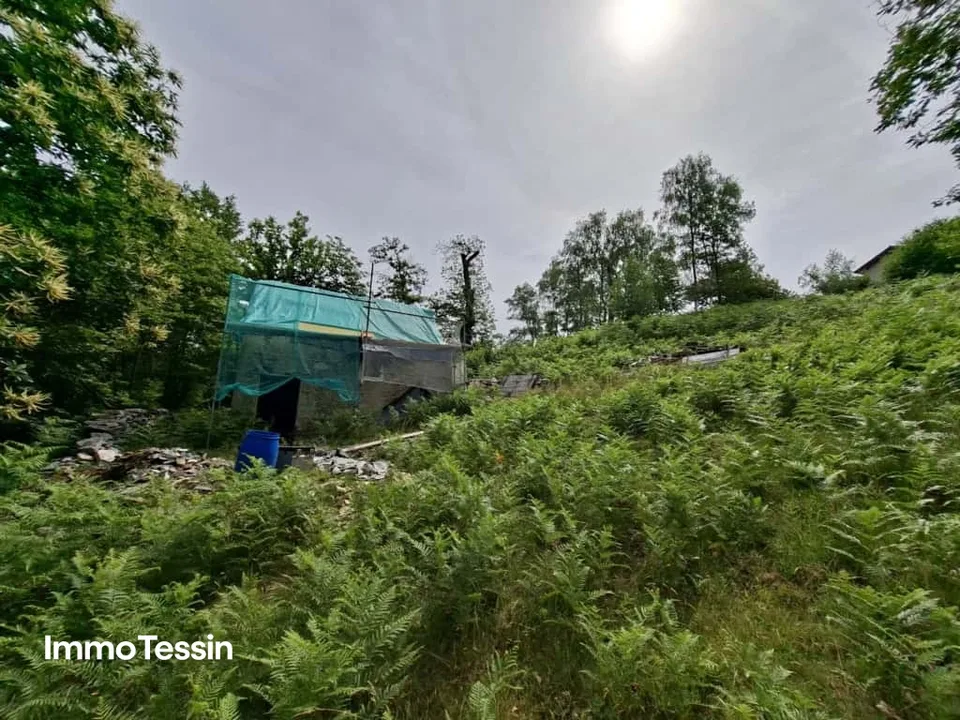 Authentisches Rustico an ruhiger Alleinlage mit freier Sicht in die Bergwelt und 3000 m2 Grundstück sowie bewilligtem Ausbauprojekt
