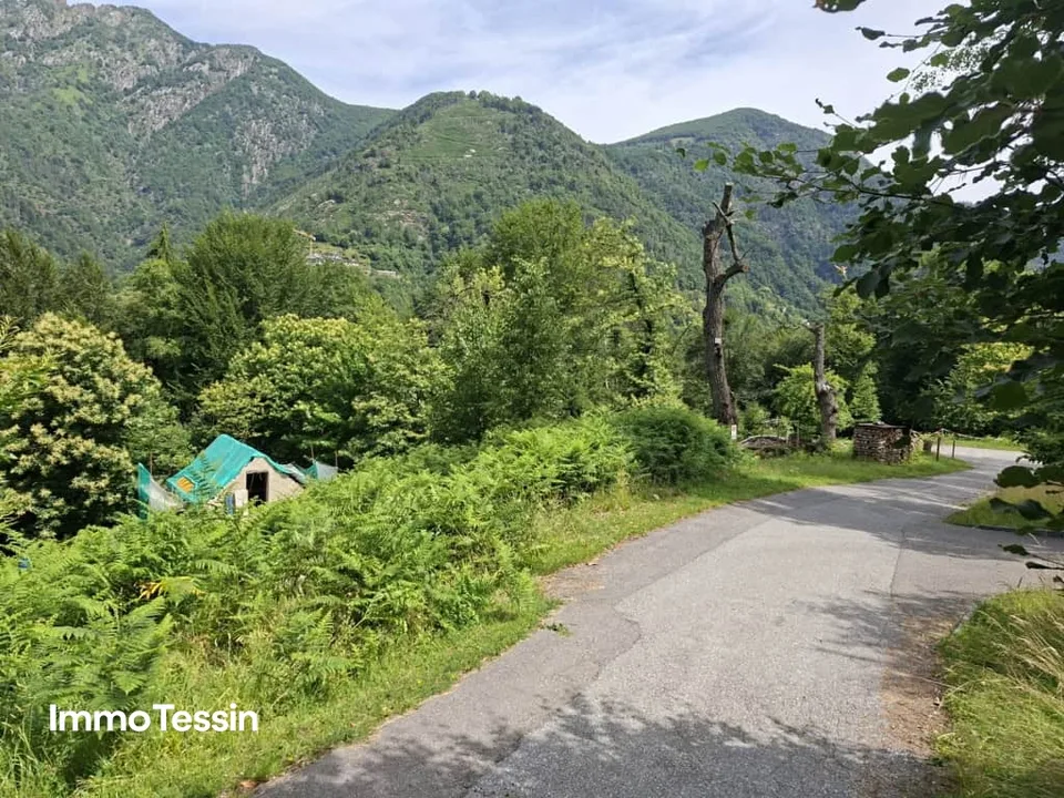 Authentisches Rustico an ruhiger Alleinlage mit freier Sicht in die Bergwelt und 3000 m2 Grundstück sowie bewilligtem Ausbauprojekt