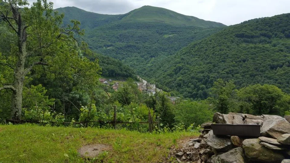 A vendre de particuliers Rustico à Boscaccio Hameau de Medeglia