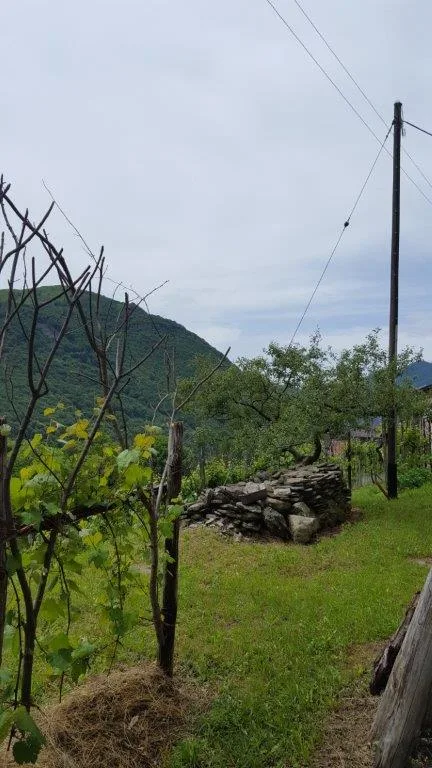 Rustico von Privatpersonen in Boscaccio Hameau de Medeglia zu verkaufen
