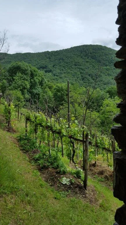 Rustico von Privatpersonen in Boscaccio Hameau de Medeglia zu verkaufen