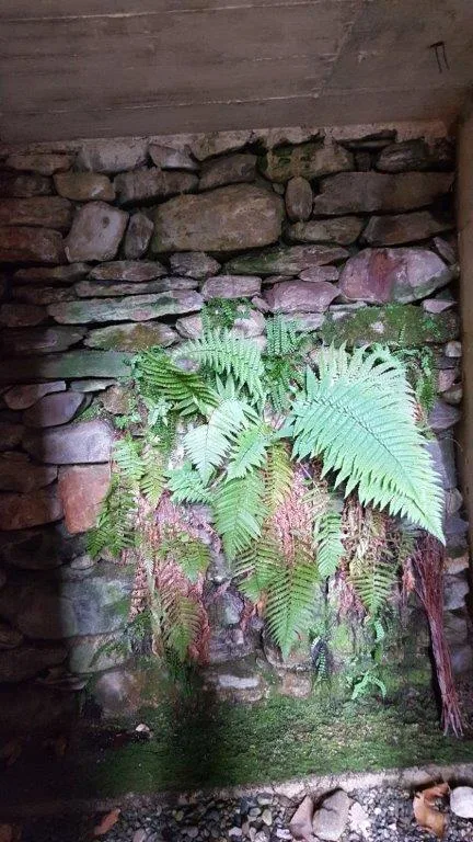 Rustico in vendita da privati a Boscaccio Hameau de Medeglia – foto 20 di 22