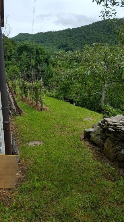 Rustico von Privatpersonen in Boscaccio Hameau de Medeglia zu verkaufen