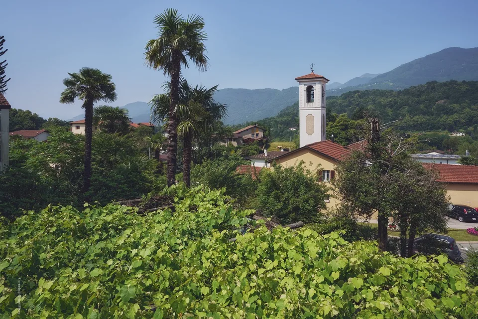 Affittasi luminoso appartamento di 6 locali a Origlio