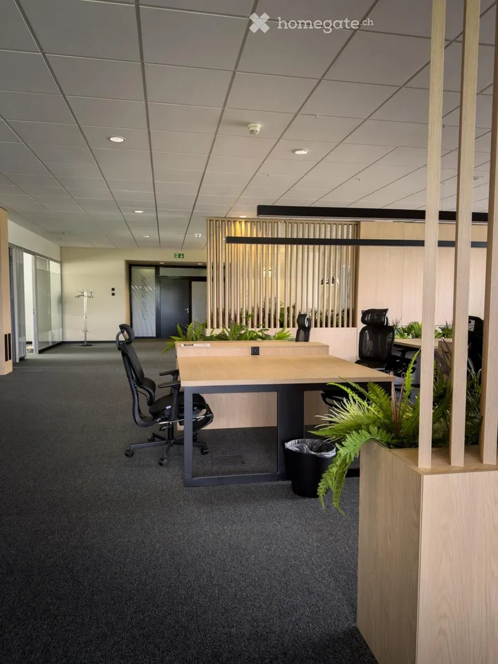 Repräsentative, möblierte Bürofläche – 404 m² im 2. OG