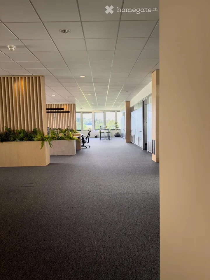 Repräsentative, möblierte Bürofläche – 404 m² im 2. OG