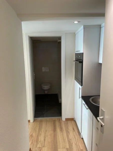 renovierte und moderne Studio-Wohnungen zu vermieten