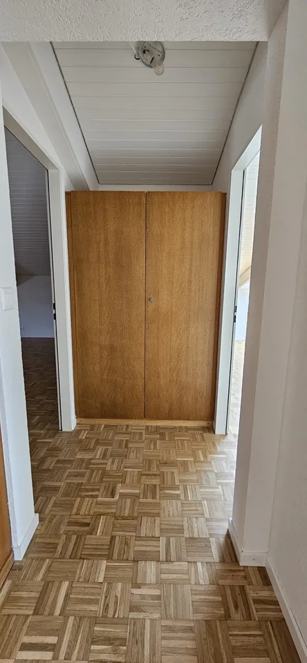 Geräumiges renoviertes Apartment mit neuer Küche. Mit Conciergeservice – Foto 10 von 13