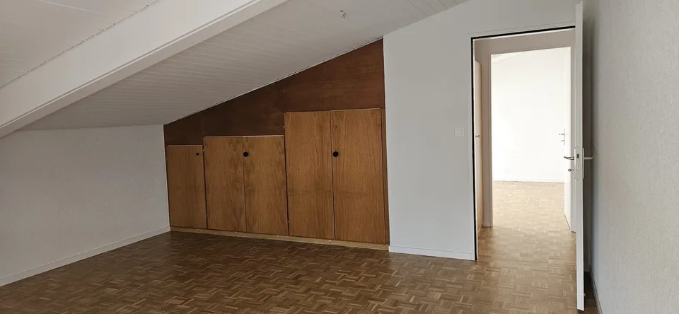 Geräumiges renoviertes Apartment mit neuer Küche. Mit Conciergeservice – Foto 12 von 13