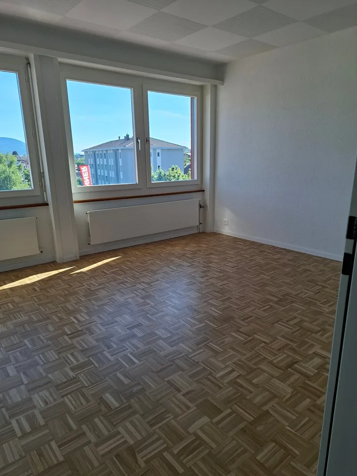 Geräumiges renoviertes Apartment mit neuer Küche. Mit Conciergeservice – Foto 7 von 13