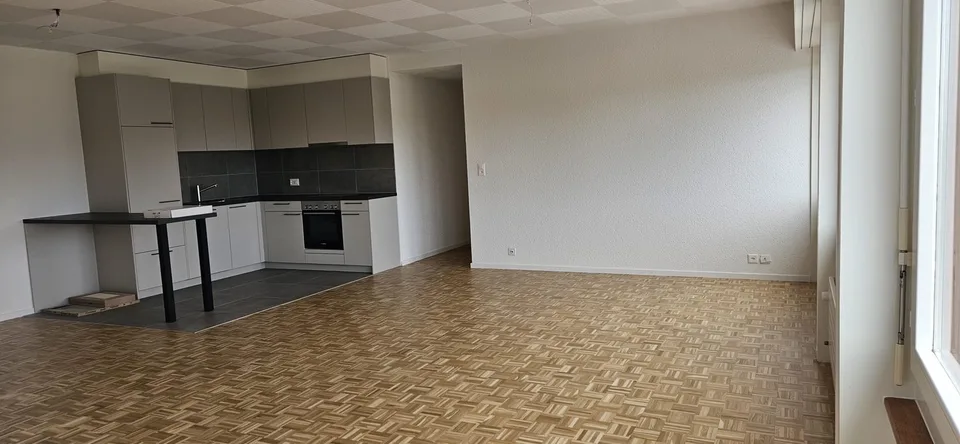 Appartement spacieux rénové cuisine neuve. Avec conciergerie