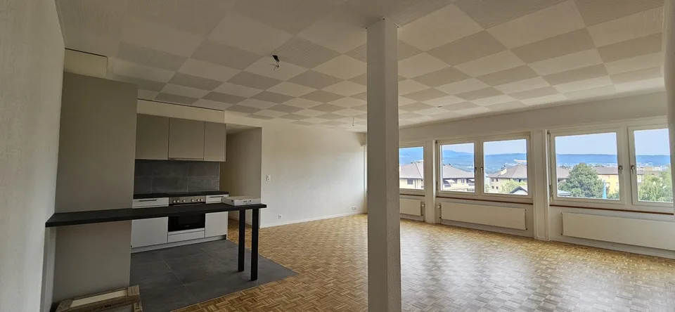 Appartement spacieux rénové cuisine neuve. Avec conciergerie