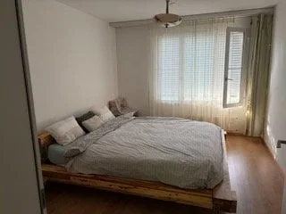 Möblierte Wohnung an Aare inkl. Auto  befristet bis Dez 26