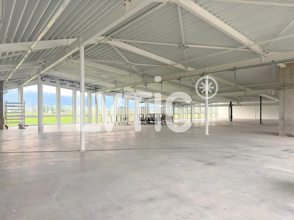 Bureaux de 800 m2 divisibles dès 300 m2 à louer à Chavornay