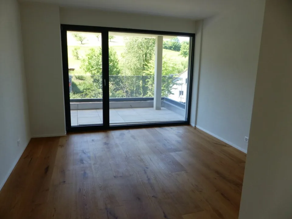 APPARTEMENT ATTRAYANT 5.5 PIÈCES DEFH À LOUER / NEUF