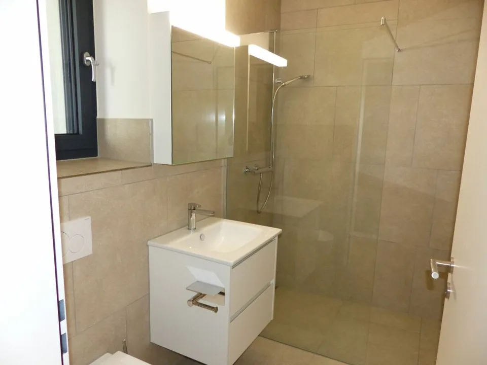 APPARTEMENT ATTRAYANT 5.5 PIÈCES DEFH À LOUER / NEUF