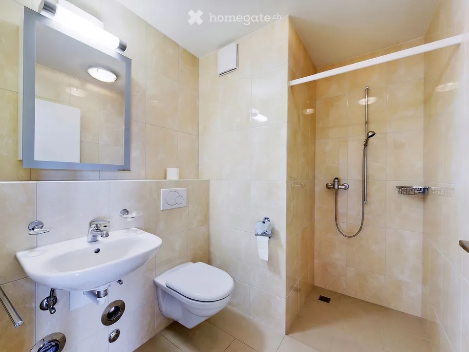Havre de nature paisible avec connexion centrale : appartement 4,5 pièces dans le district 7 de Zurich