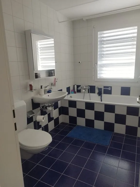 3 1/2-Zimmerwohnung, 2. Stock rechts