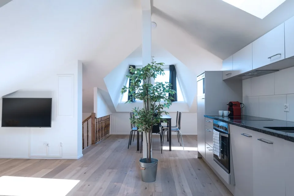 Helle 3 Zimmer Dachwohnung mit Aussicht in Zürich Wiedikon