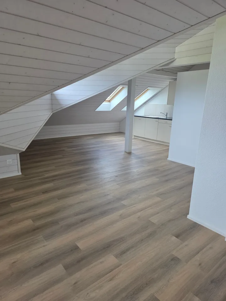 2.5-Zimmer-Dachwohnung  in Zürich